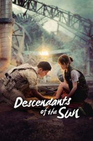 <h1>Descendants of the Sun (2016)</h1>
